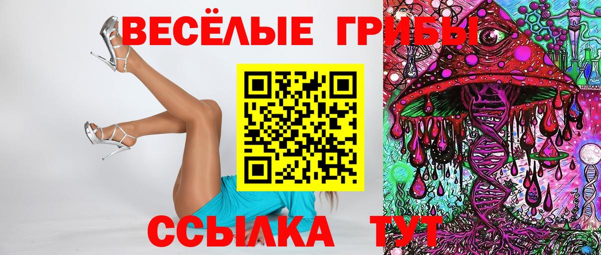 Скопин  где можно купить наркотик  Вход с VPN  Галлюциногенные грибы Psilocybine cubensis 